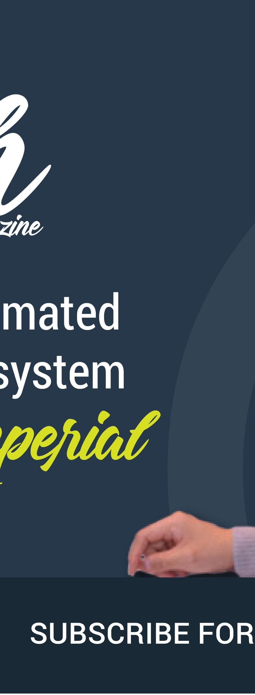 Profit Loops with Mark Imperial