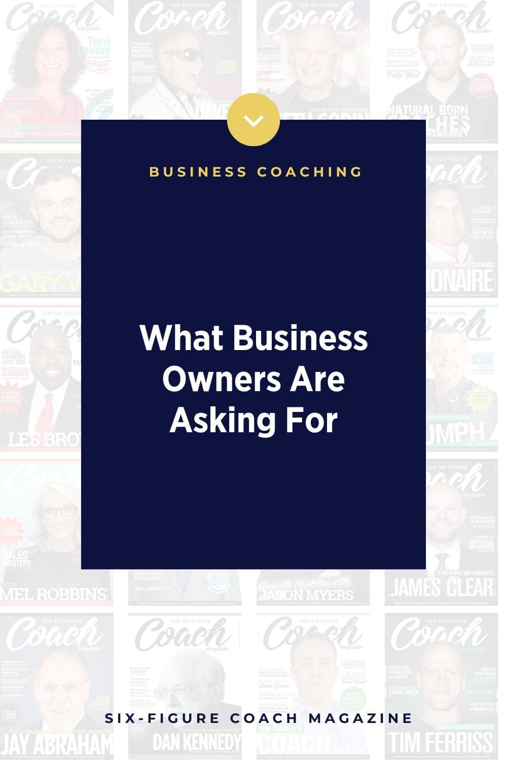 What Business Owners Are Asking For with Terri Levine