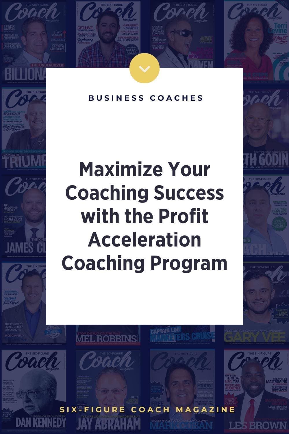 Maximize Your Coaching Success with the Profit Acceleration Coaching Program