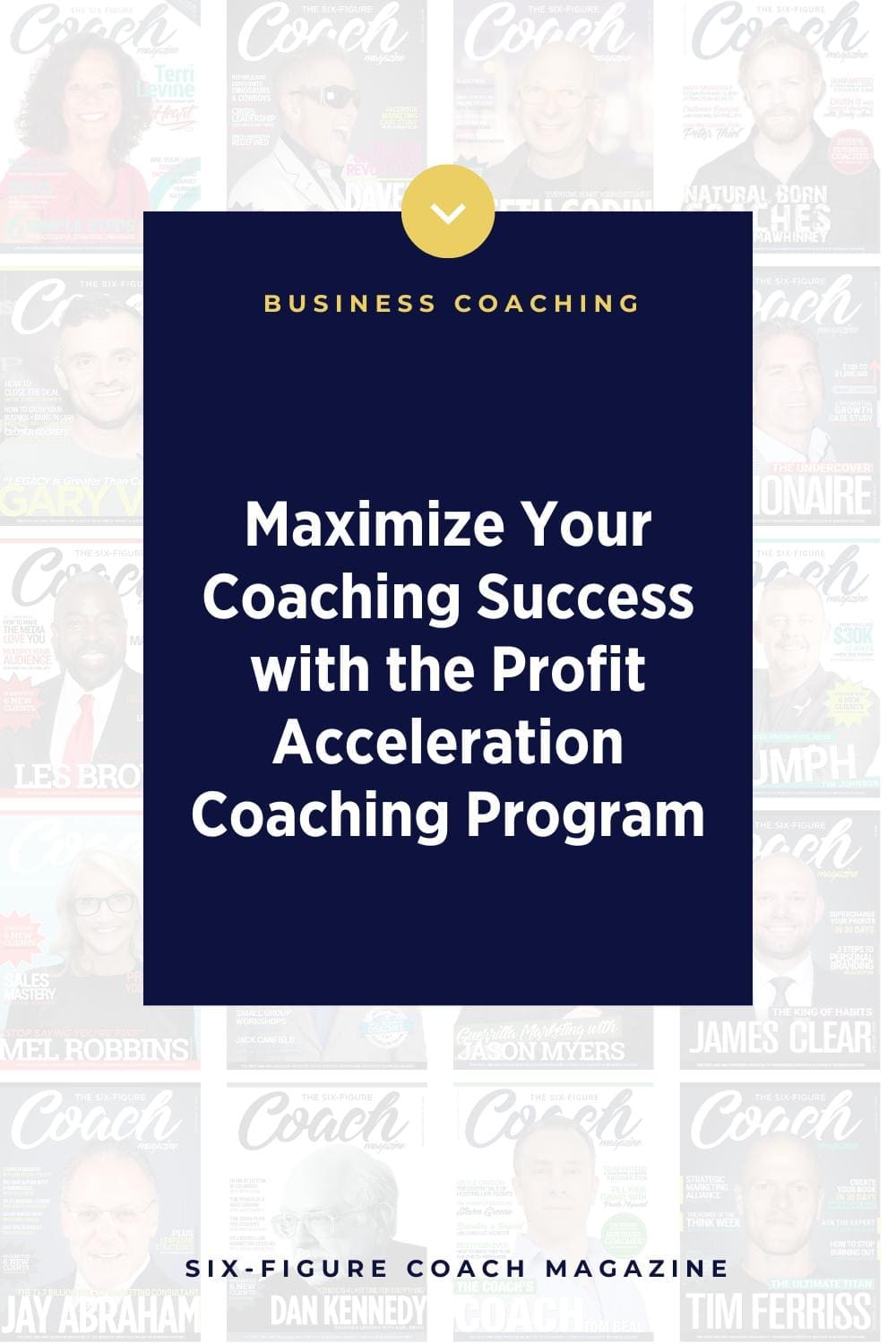 Maximize Your Coaching Success with the Profit Acceleration Coaching Program