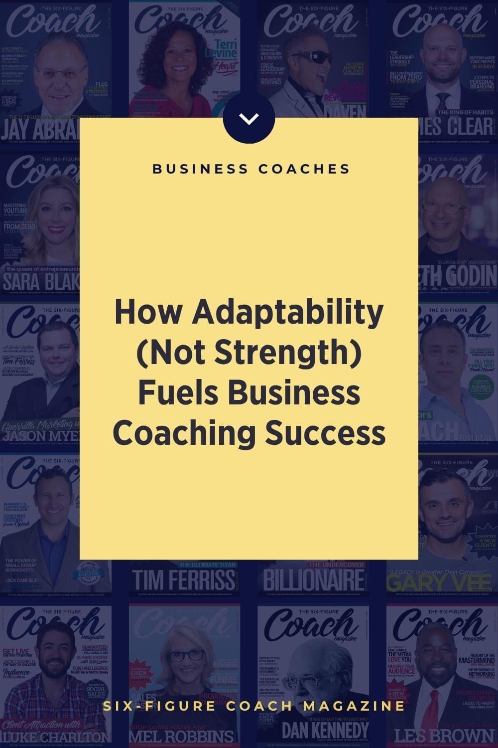 How Adaptability (Not Strength) Fuels Business Coaching Success