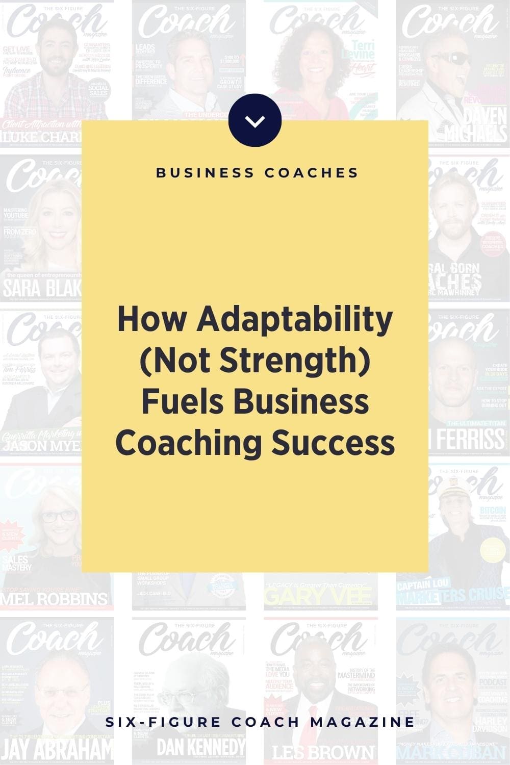 How Adaptability (Not Strength) Fuels Business Coaching Success