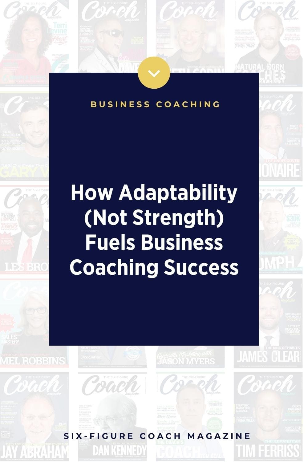 How Adaptability (Not Strength) Fuels Business Coaching Success