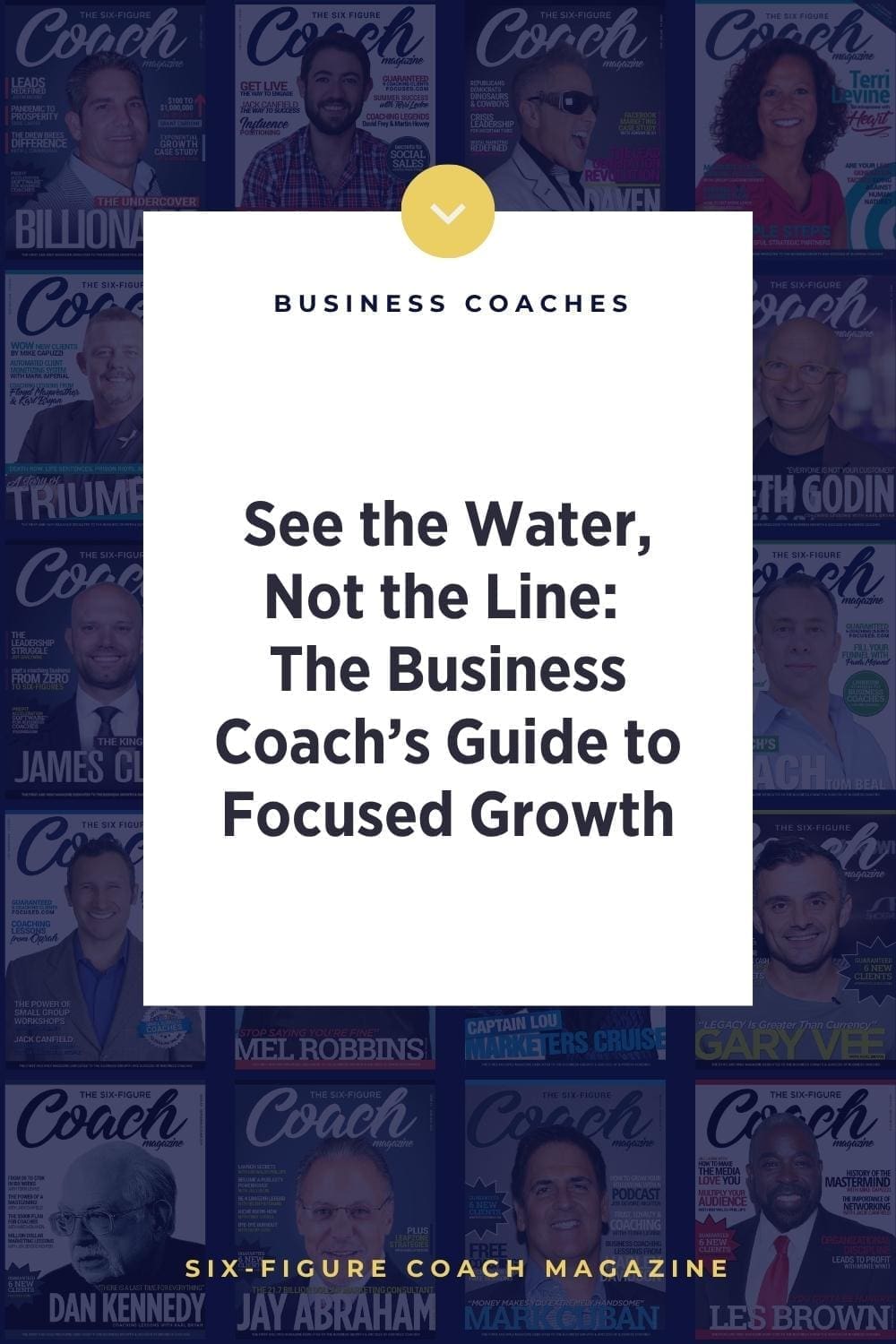 See the Water, Not the Line: The Business Coach’s Guide to Focused Growth