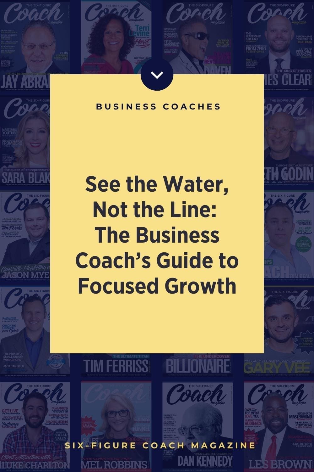 See the Water, Not the Line: The Business Coach’s Guide to Focused Growth