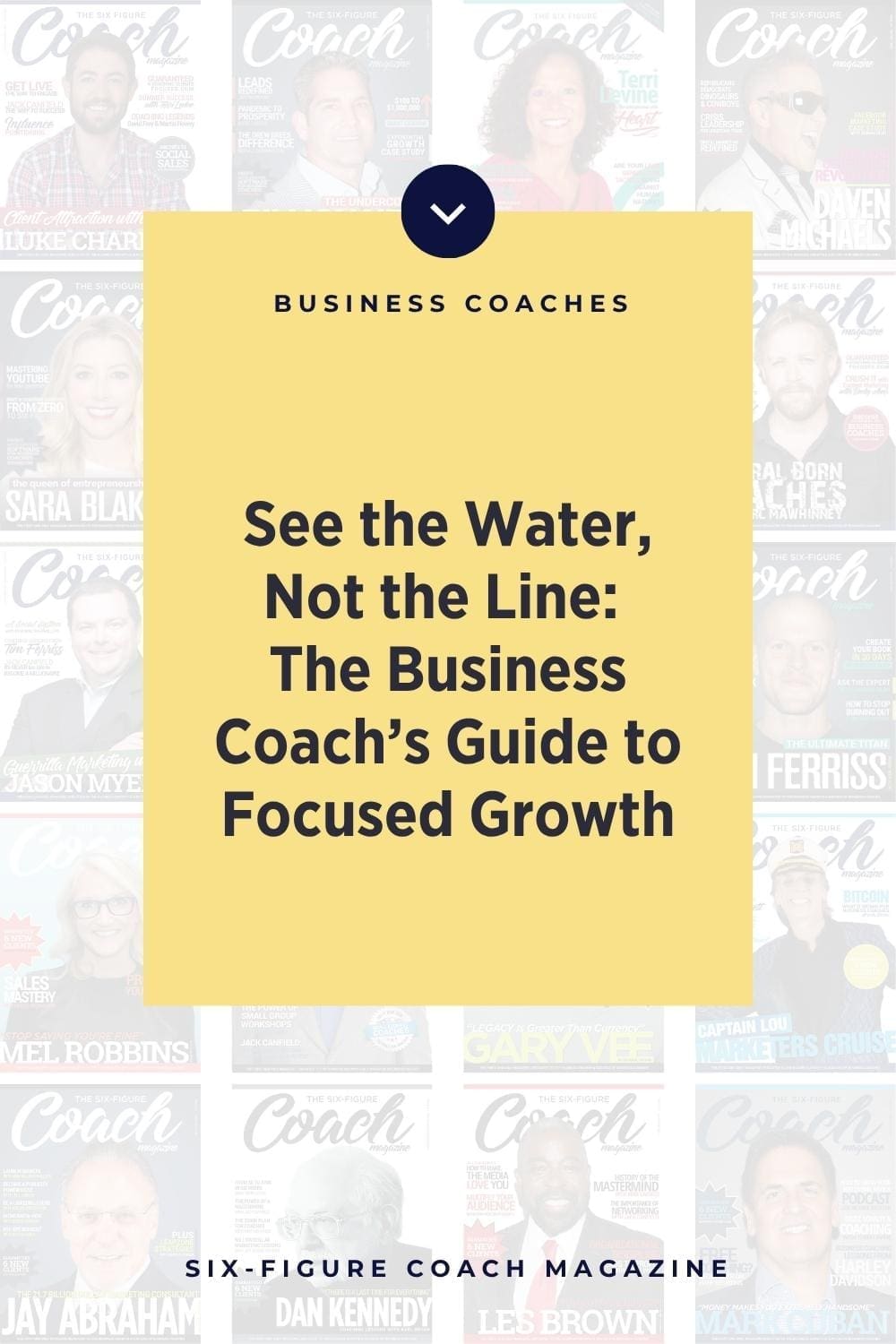 See the Water, Not the Line: The Business Coach’s Guide to Focused Growth