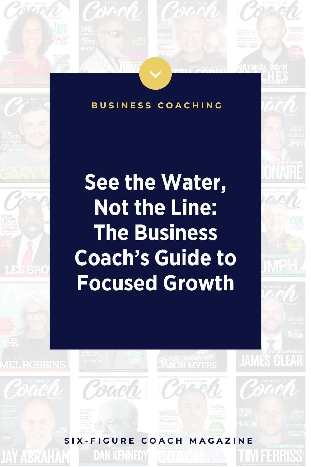 See the Water, Not the Line: The Business Coach’s Guide to Focused Growth