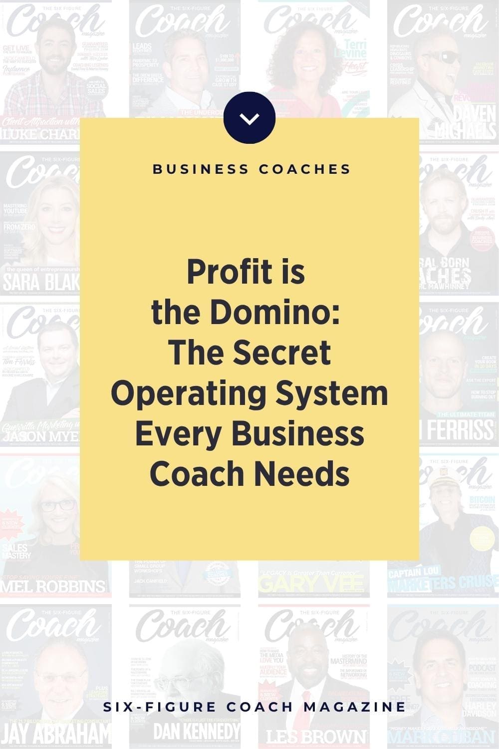 Profit is the Domino: The Secret Operating System Every Business Coach Needs